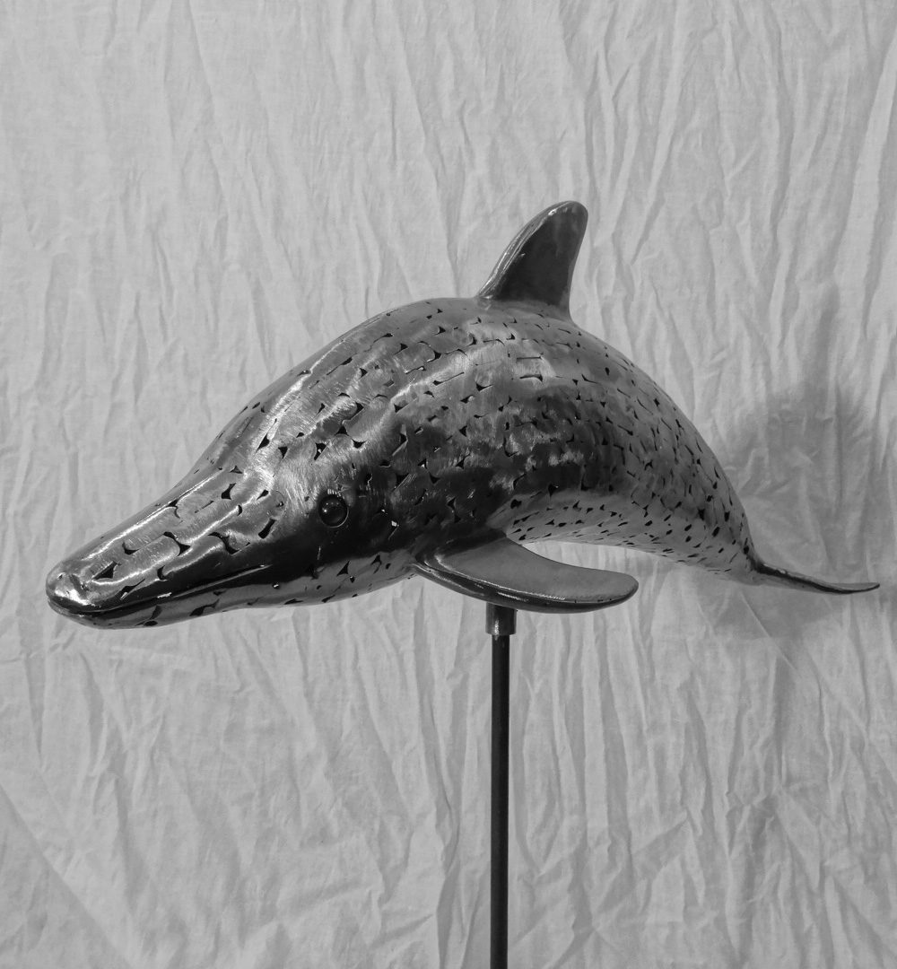 Delphin