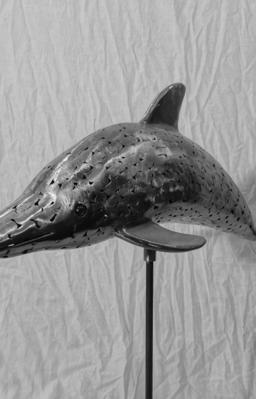 Delphin