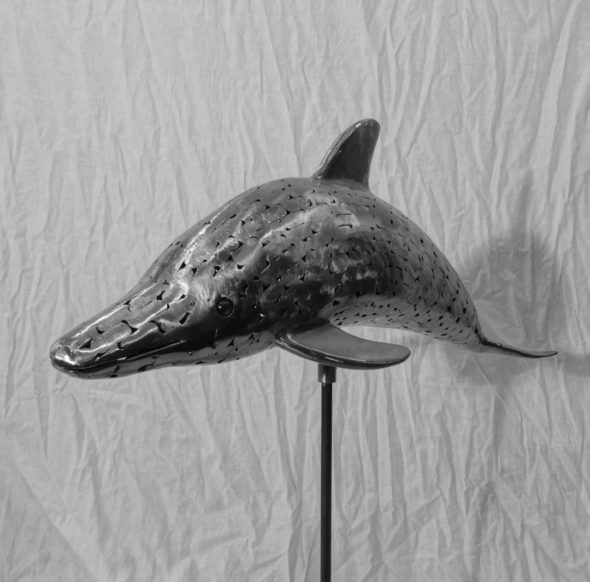 Delphin